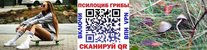 Купить Омутнинск Галлюциногенные грибы мицелий